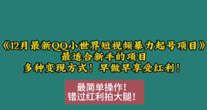 12月最新QQ小世界短视频暴力起号项目-最适合新手的项目-多种变现方式-第2资源网